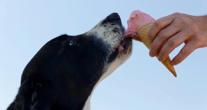 2025.4.29 Western Diet Ice Cream