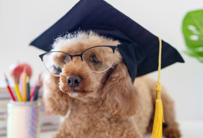 2025.05.27 PhD