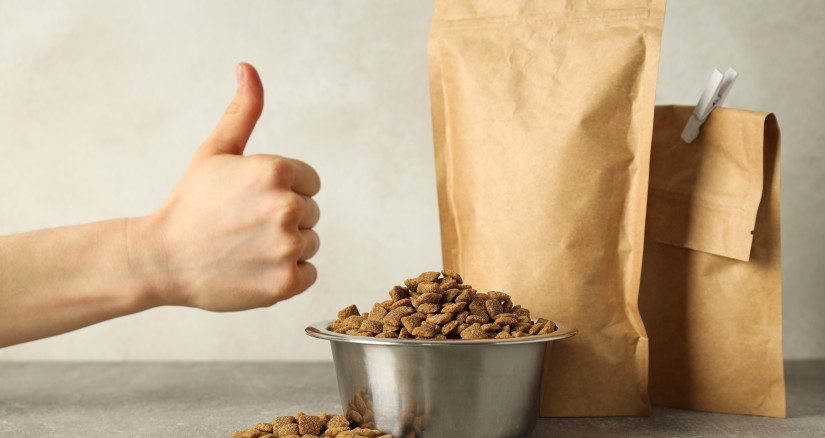 tasty and delicious food for pet pet accessories 2025 03 26 01 50 53 utc