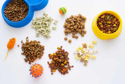 top view of different dry food and tasty treats fo 2024 11 07 15 10 36 utc