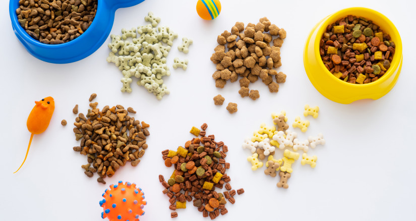 top view of different dry food and tasty treats fo 2024 11 07 15 10 36 utc