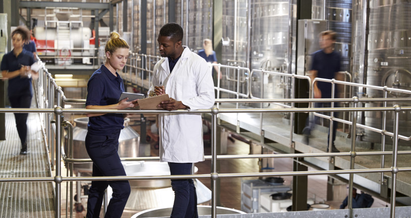 two staff talking in a modern winemaking factory 2024 10 19 18 26 27 utc