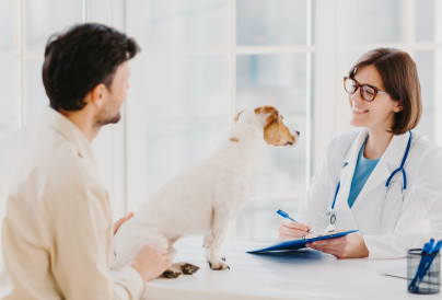 vet checks pet in hospital modern office communi 2025 03 08 21 52 19 utc