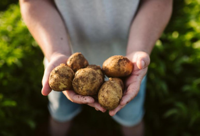 webimage pepsico icrop 19 2735x1824