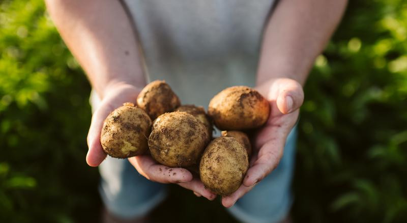 webimage pepsico icrop 19 2735x1824