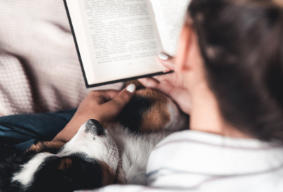 woman and dog lifestyle image bernese mountain do 2024 11 27 04 57 31 utc