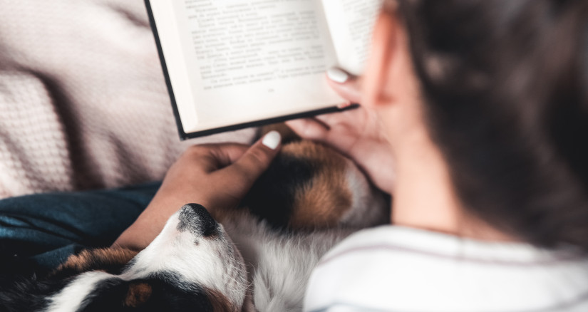 woman and dog lifestyle image bernese mountain do 2024 11 27 04 57 31 utc